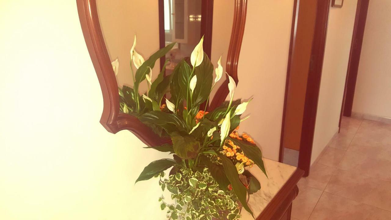 Apartamento A Canteira O Grove Dış mekan fotoğraf