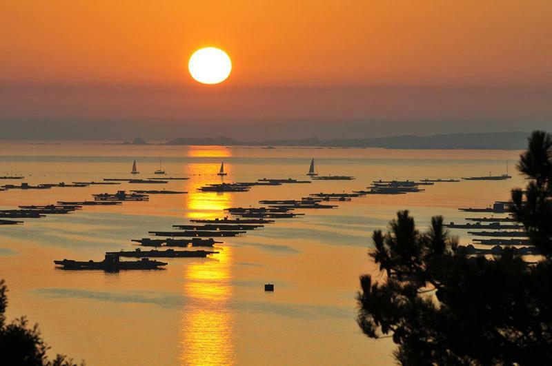 Apartamento A Canteira O Grove Dış mekan fotoğraf